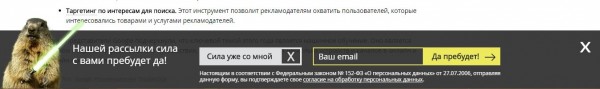 Форма подписки на seonews